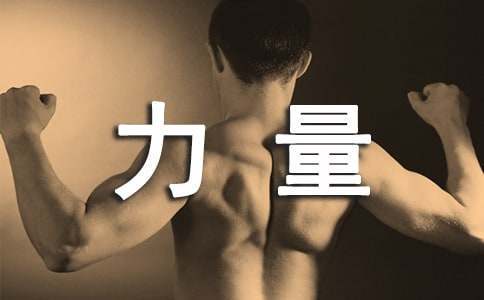 如何选择适合篮球康复训练的器材_1